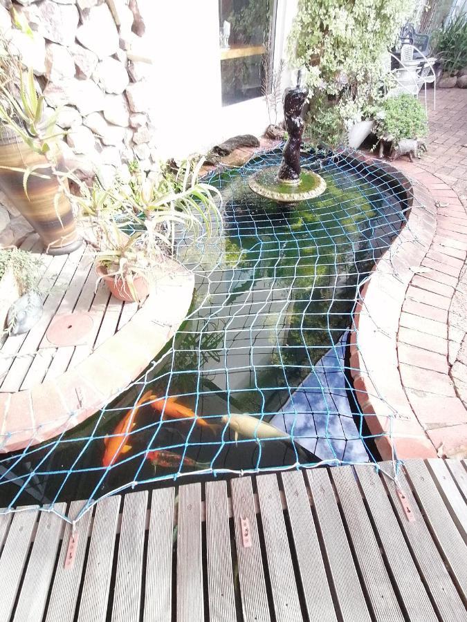 Serendipity Country House Amanzimtoti Dış mekan fotoğraf