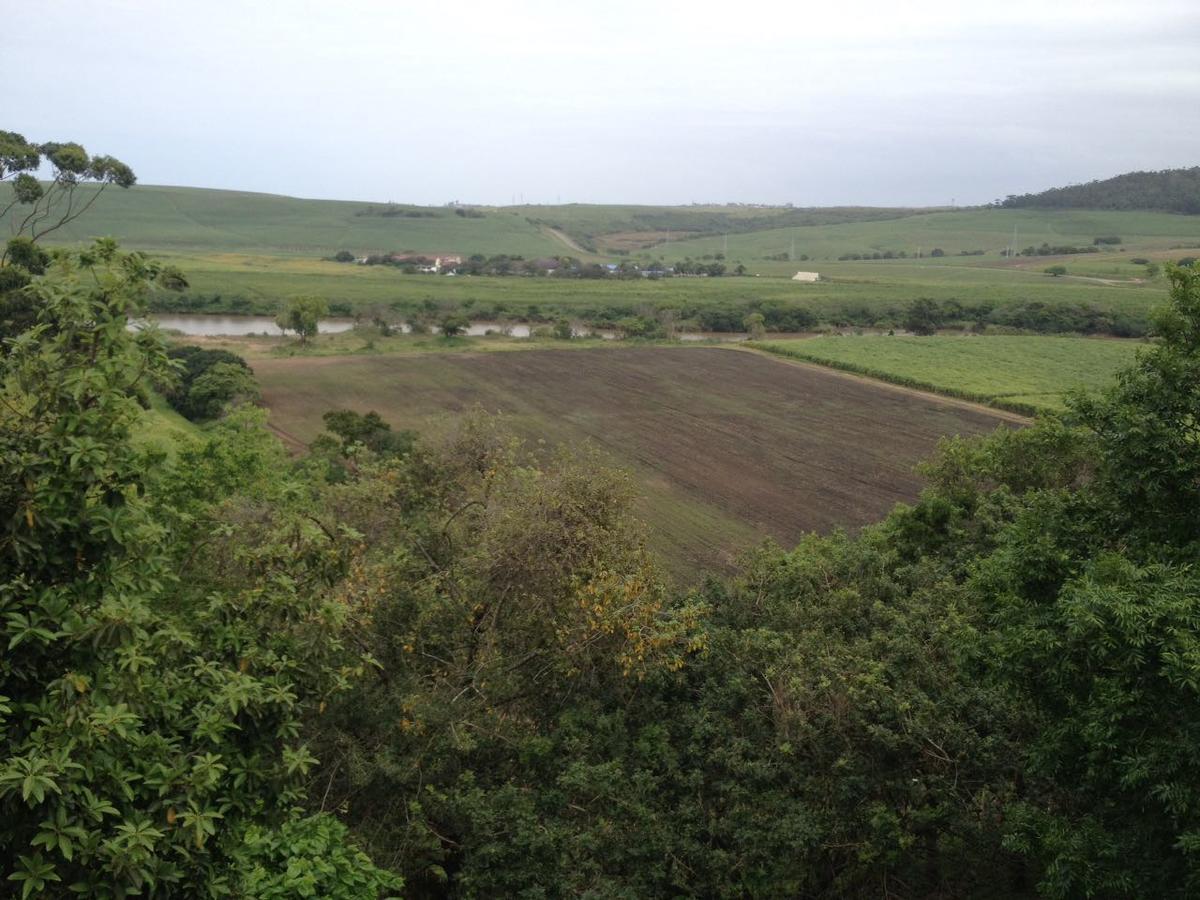 Serendipity Country House Amanzimtoti Dış mekan fotoğraf